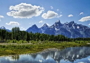 Great Find! 2 Great Accommodations, Near to Attractions, Parking, Pet-Friendly!