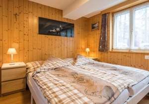 Haus Alpenblick