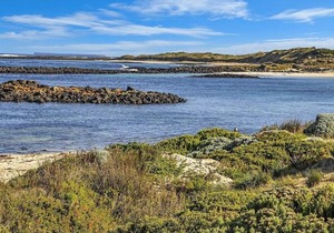 Hearn's Beachside Villa 7