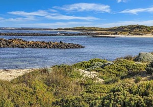 Hearns Beachside Villa 4