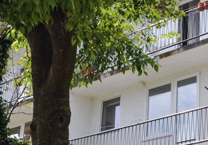 Holiday apartment 25 m from the sea