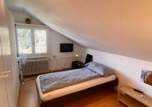Holiday apartment Arbon for 1 person with 1 bedroom - Holiday apartment