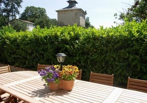 Holiday apartment Labruguière for 1 - 2 persons with 1 bedroom - Holiday house