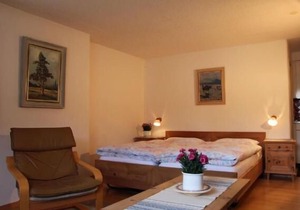 Holiday apartment Zernez for 2 - 3 persons with 1 bedroom - Holiday apartment