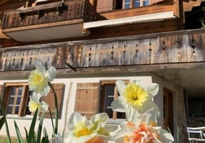 Holiday flat in Chalet Underem Gfell 28