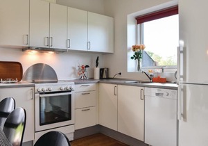 Holiday home Dyrefolden Ringkøbing IX