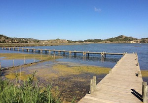 Holiday home, shared shower/shared toilet, 1 bed room