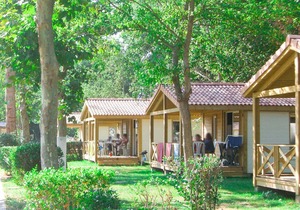 Holiday Home Le Mediterranée - AGL253