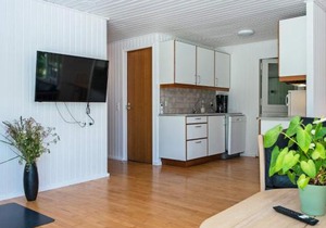 Holiday home Skjern XV