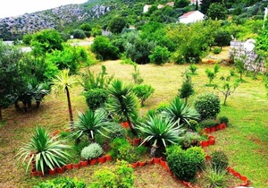 Holiday house Zdravko - sea view & peaceful nature: - Brsecine, Riviera Dubrovnik, Croatia