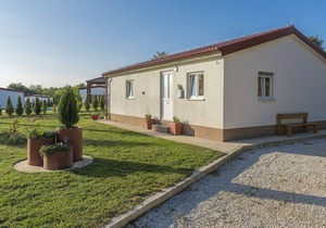 Holiday house with private pool for 4-6 persons in the holiday park Jelovci