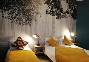 Hotel Du Cygne Tours