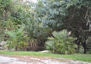 House/Villa - Ile aux moines