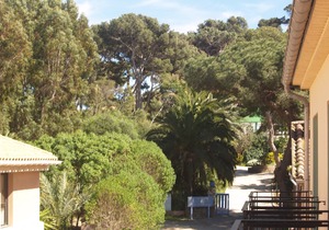 Ile de Porquerolles Apartment