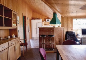 In the midst of beautiful nature on a large plot of land lies this lovely vacation home.