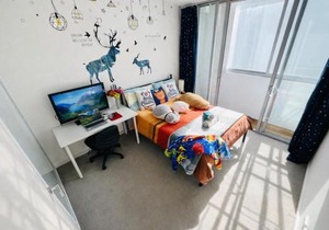 Inner-City Convenience & Cozy Retreat-Modern 2 Bedroom in Ashfield