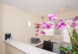 Island House South Beach