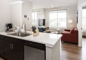 Kasa The Comma | Traditional 1BD Centrally Located in Denver