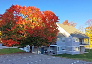 Killington Blue Studio: Sleeps 4, Close to Mtn 123