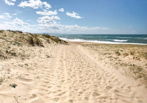 L'Allée des Dunes