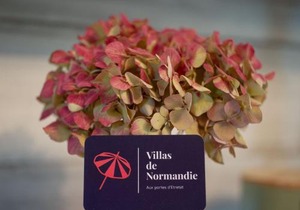La Fleur de Sel