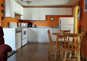 La Vieille Auberge, tourism residence - Appartment 1 room - 1 Queen bed and 1 sofa bed Triple