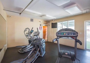 Large Downtown Renovated Loft