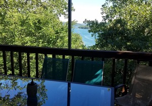 Lighthouse-Lake View-Fenced for Pet-Close to Marina!