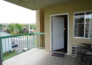 Little Pigeon River 508 2BD Condo with Fireplace and Jacuzzi Tub by RedAwning