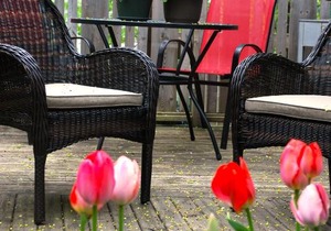 Lovely Family Home - Northend Halifax