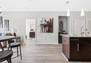 Luxurious Large 2 bed 2 bath Downtown Condo- #302