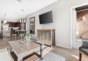 Luxurious Large 2 bed 2 bath Downtown Condo- #302