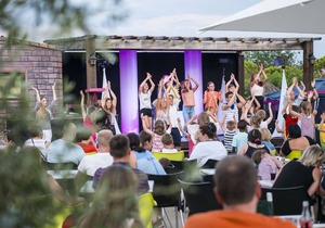 Luxurious Provencal villa with AC, near the nice Vidauban