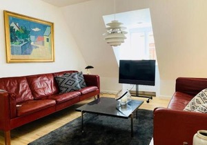 Luxury apartment in the heart of Copenhagen