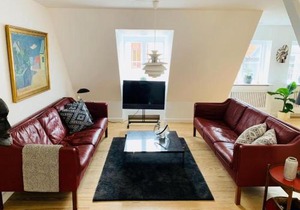 Luxury apartment in the heart of Copenhagen