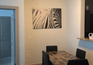 Luxury Highrise Loft Downtown ATL