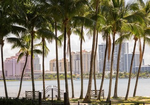 Luxury Island 2bd/2ba Penthouse | Amenity Pool