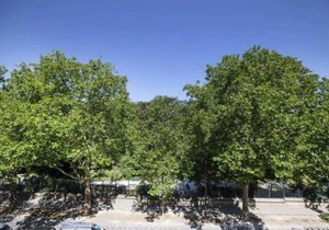 luxury Paris La Vie En Rose jacuzzi terrasse Parking