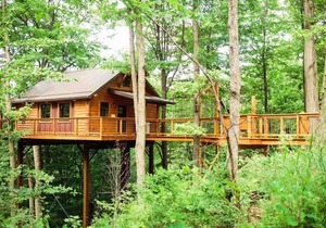 Luxury Treehouse Getaway with Treetop Views