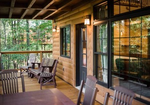 Luxury Treehouse Nestled in Trees of Amish Country