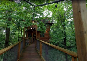 Luxury Treehouse Nestled in Trees of Amish Country