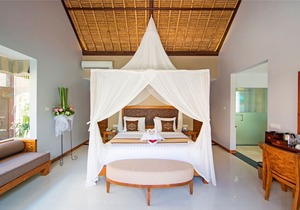 Luxury Villa near Ubud with private infinity pool and a lounging pavilion