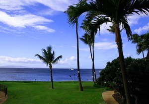 Maalaea Surf #C-8 by Ali'i Resorts