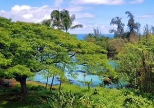 Mauna Loa Shores #405 condo