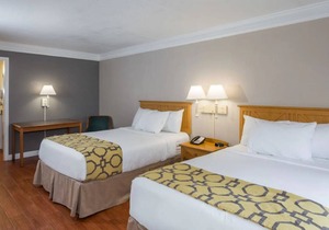 Maximum Comfort! 3 Family-Friendly Units, Free Parking, Pet-Friendly, Pool