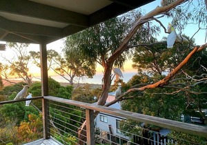 McCrae Hilltop Retreat, Views of Bay & Lighthouse