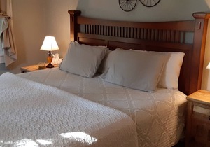 Mediterranean Charmer! Walk to the Bay and City! Historic Old Northeast
