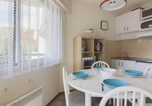 Mezzanine Apartment for 4, Gourette View