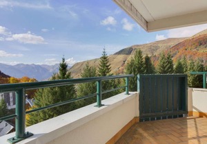 Mezzanine Apartment for 4, Gourette View