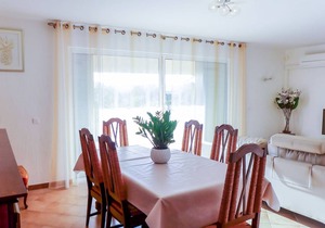 Mimosas Bormes-les-Mimosas